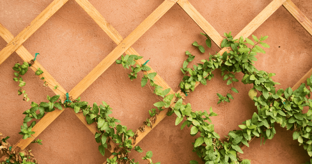 Expert Explains What Can I Put On My Fence To Stop Burglars?