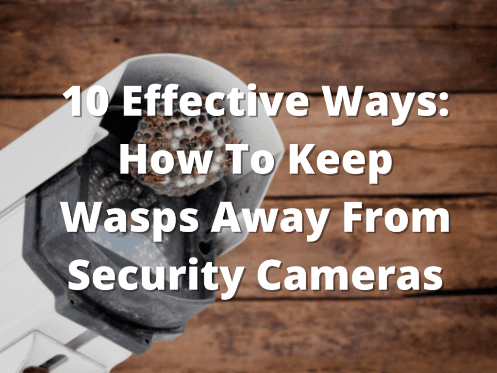 10 Effective Ways How To Keep Wasps Away From Security Cameras