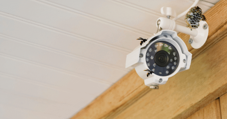 10 Effective Ways to Keep Wasps Away From Security Cameras