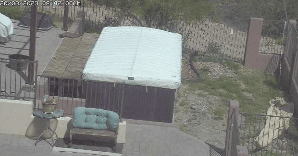 Can Arlo Cameras Be Hacked? (Surprising Truth!)