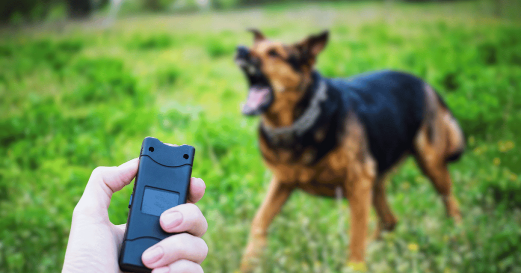 Stun Gun on Attack Dog